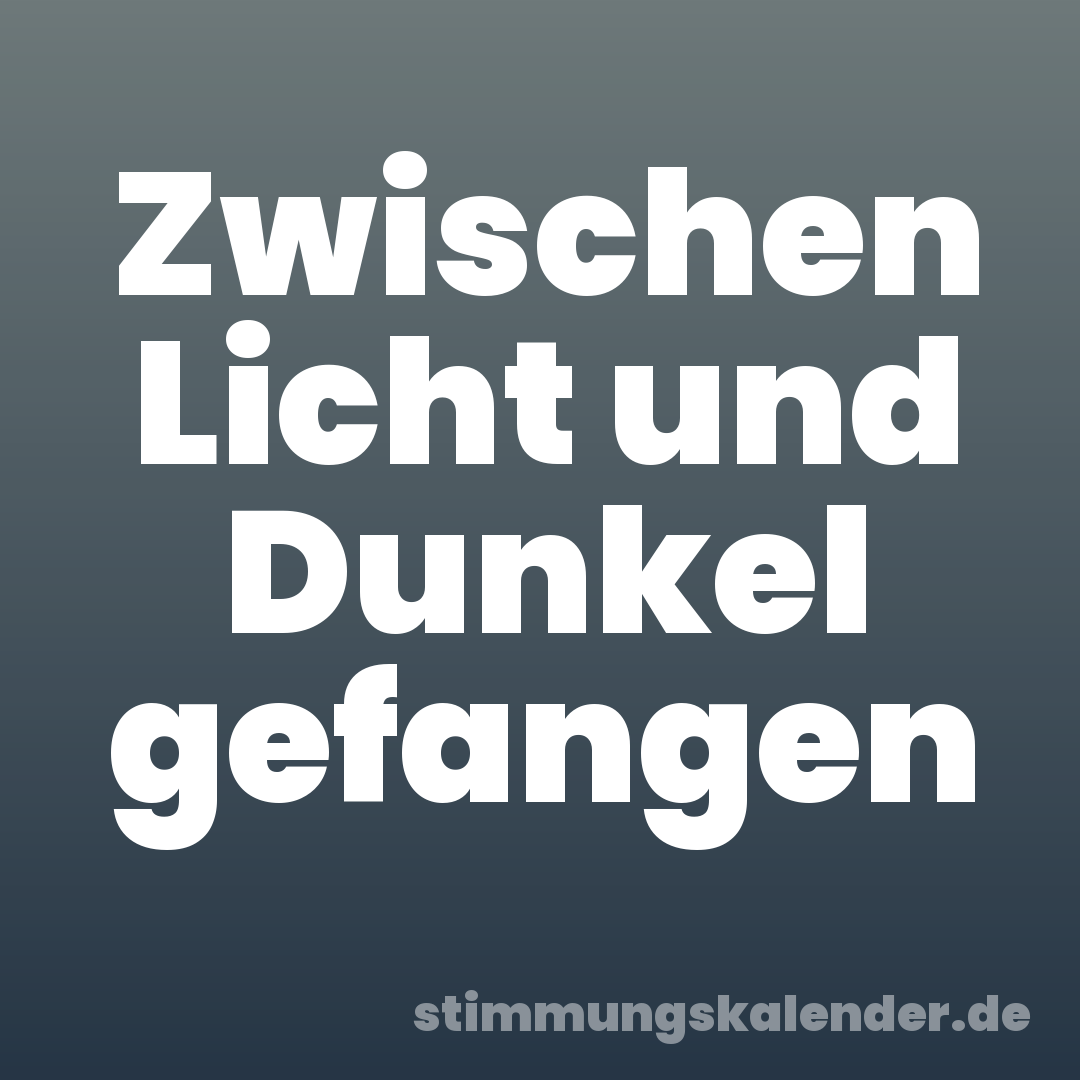Zwischen Licht und Dunkel gefangen