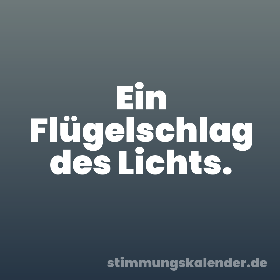 Ein Flügelschlag des Lichts.