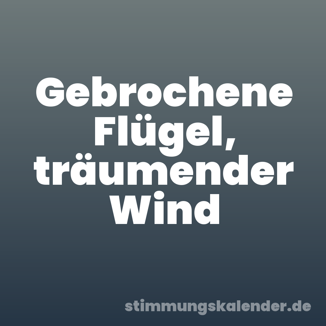 Gebrochene Flügel, träumender Wind