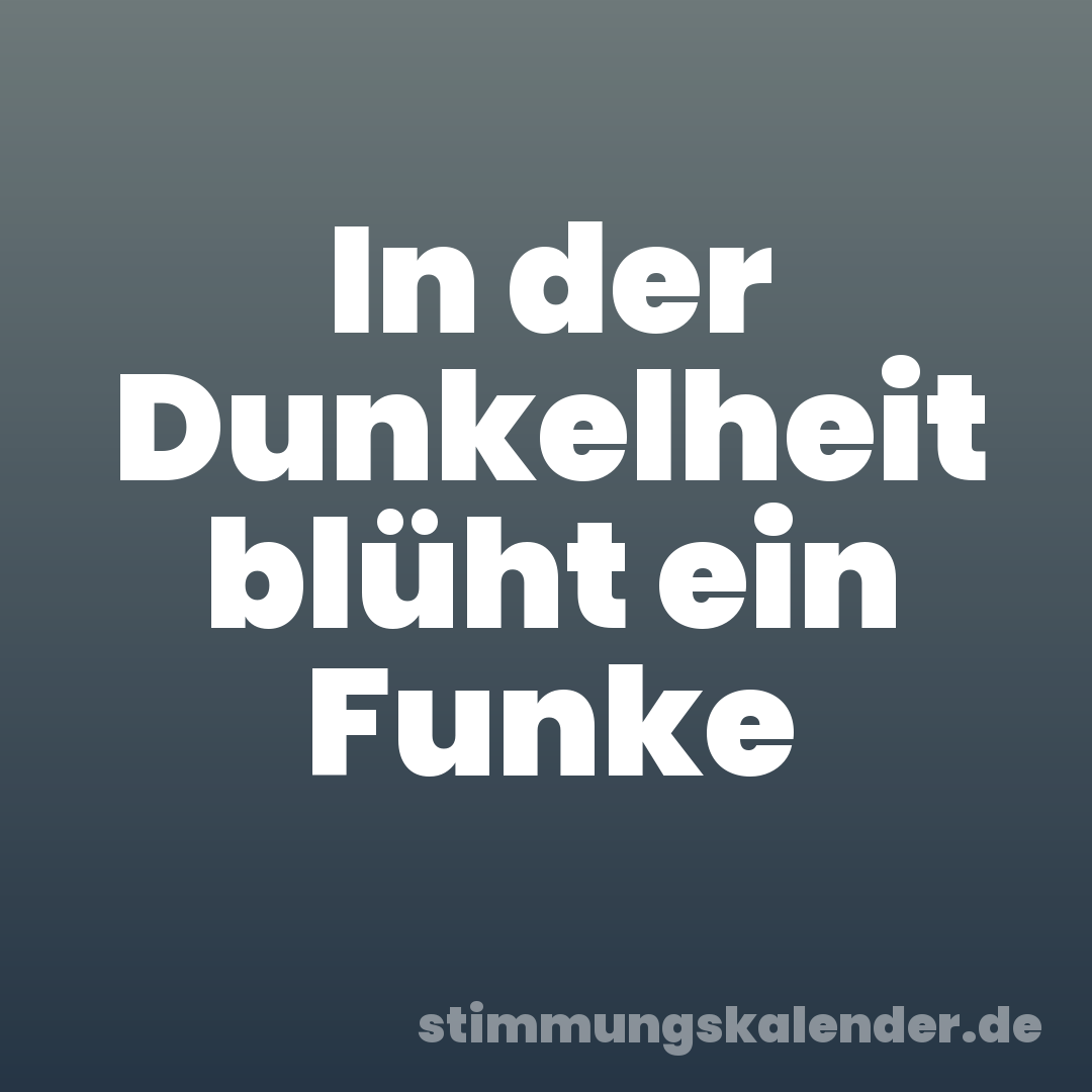 In der Dunkelheit blüht ein Funke