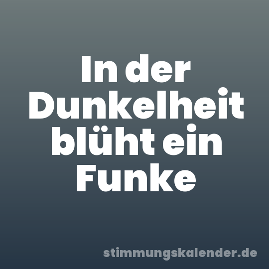 In der Dunkelheit blüht ein Funke