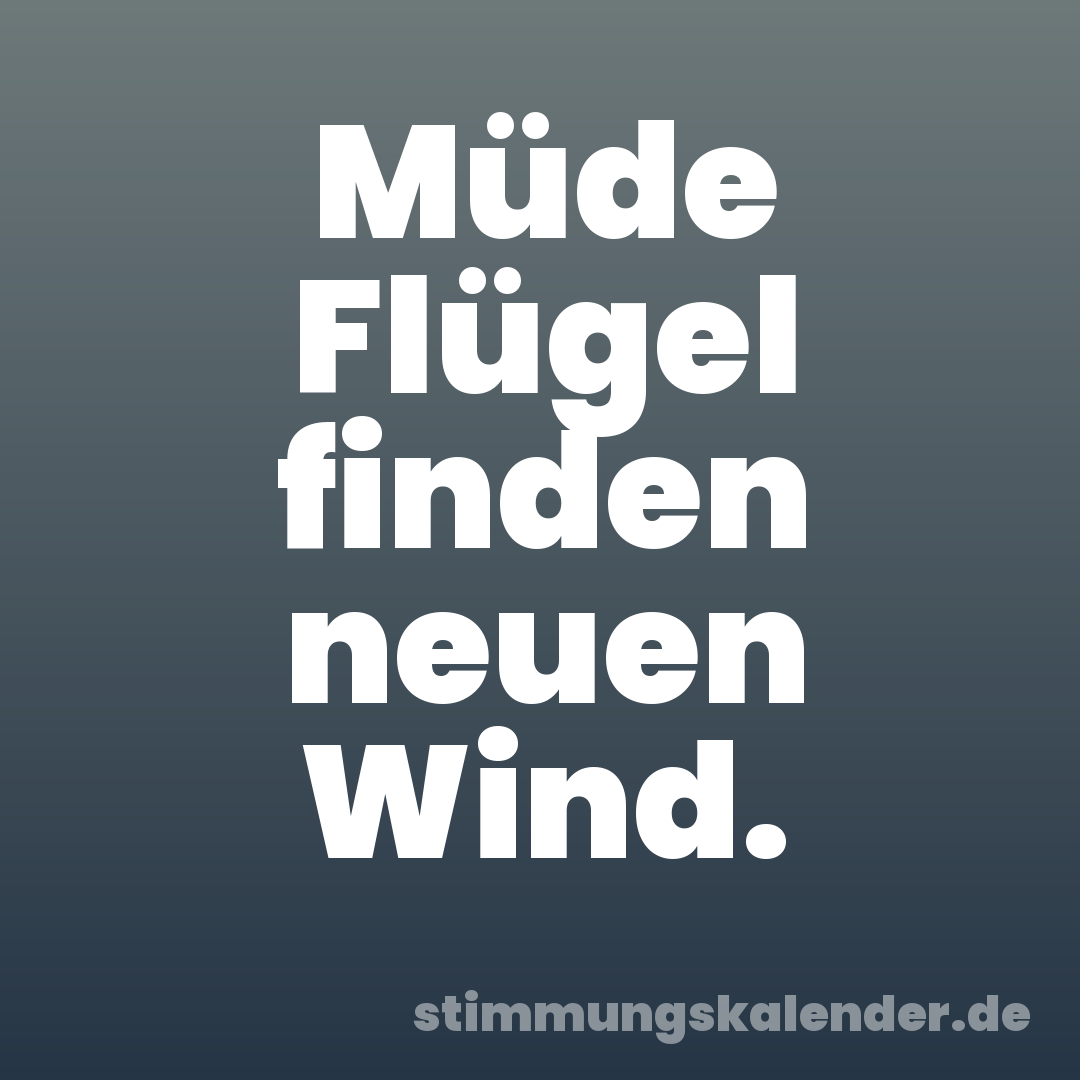 Müde Flügel finden neuen Wind.