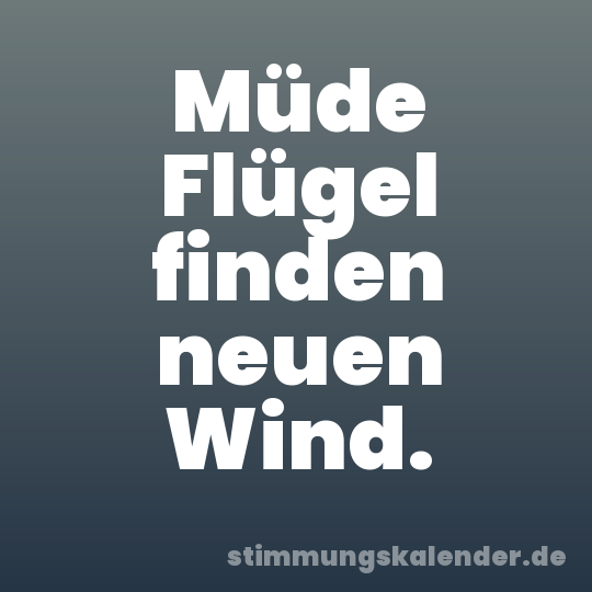 Müde Flügel finden neuen Wind.