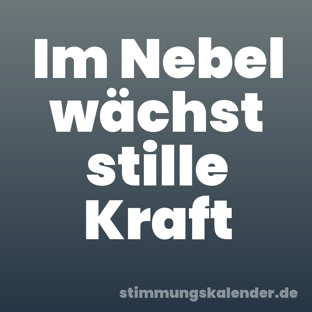 Im Nebel wächst stille Kraft