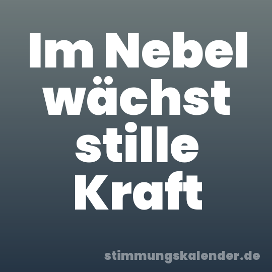 Im Nebel wächst stille Kraft