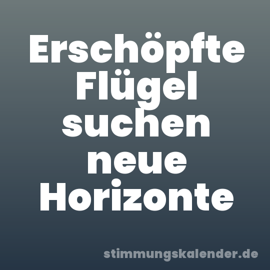 Erschöpfte Flügel suchen neue Horizonte