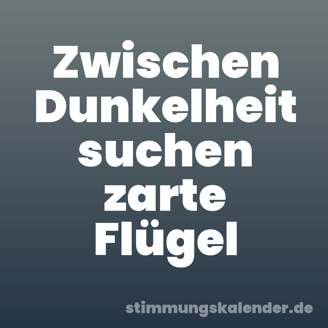 Zwischen Dunkelheit suchen zarte Flügel