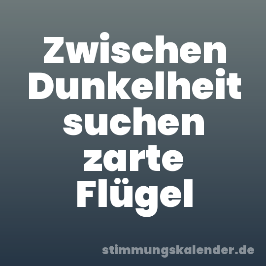 Zwischen Dunkelheit suchen zarte Flügel