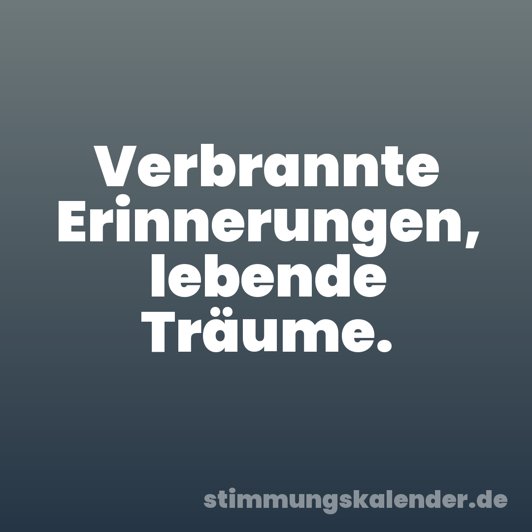 Verbrannte Erinnerungen, lebende Träume.