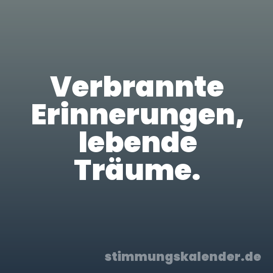 Verbrannte Erinnerungen, lebende Träume.