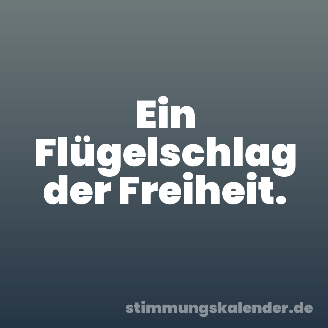 Ein Flügelschlag der Freiheit.