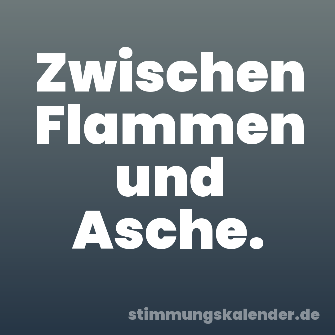 Zwischen Flammen und Asche.