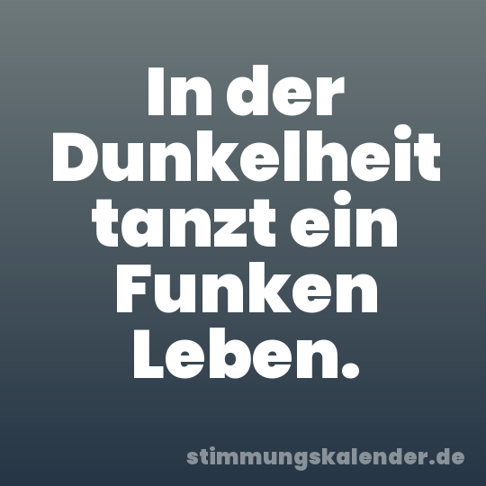 In der Dunkelheit tanzt ein Funken Leben.