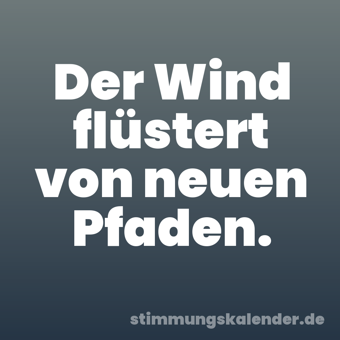 Der Wind flüstert von neuen Pfaden.