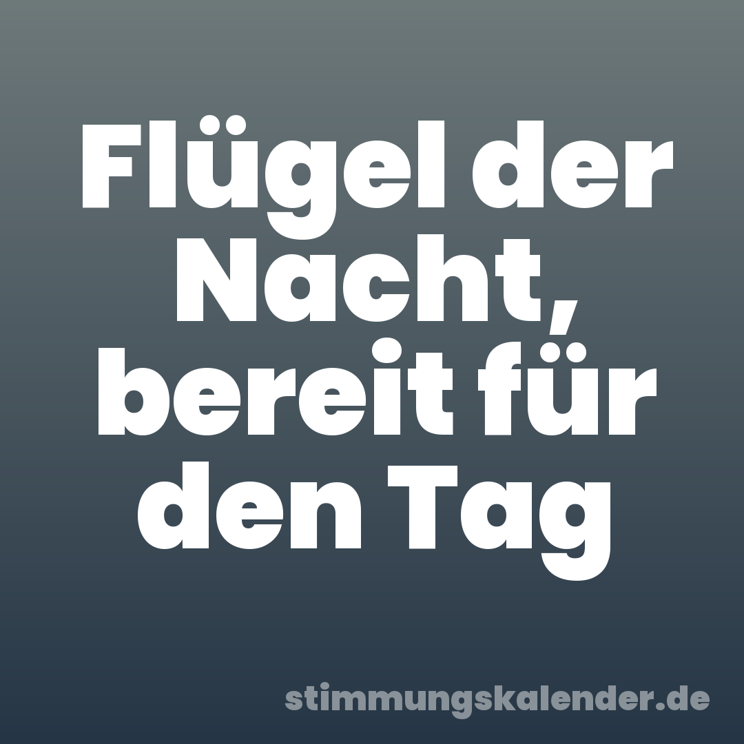 Flügel der Nacht, bereit für den Tag