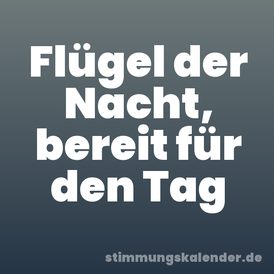 Flügel der Nacht, bereit für den Tag