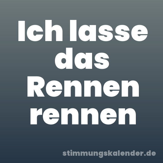 Ich lasse das Rennen rennen