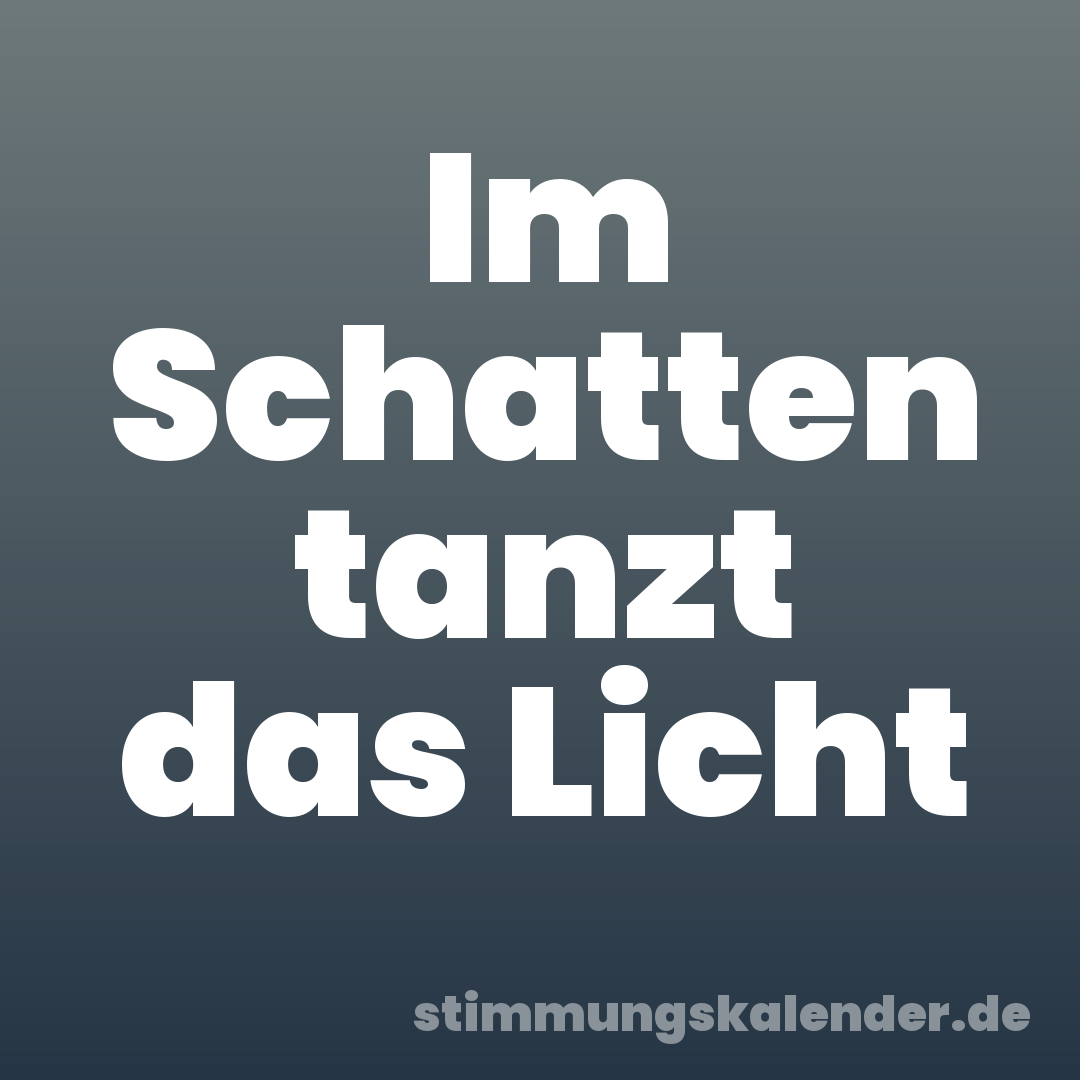 Im Schatten tanzt das Licht
