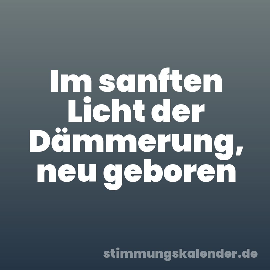 Im sanften Licht der Dämmerung, neu geboren