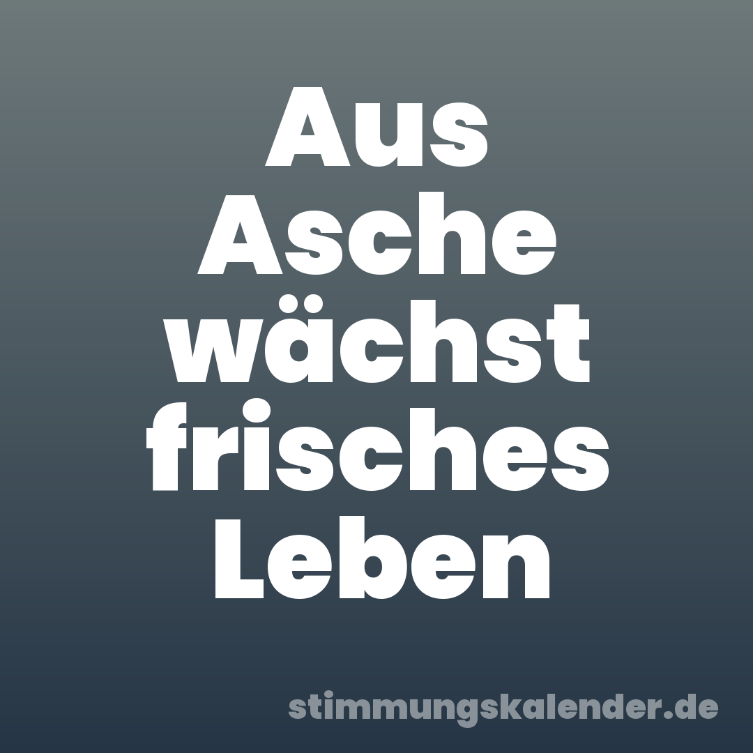 Aus Asche wächst frisches Leben