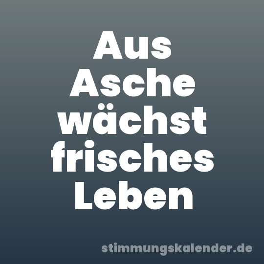 Aus Asche wächst frisches Leben