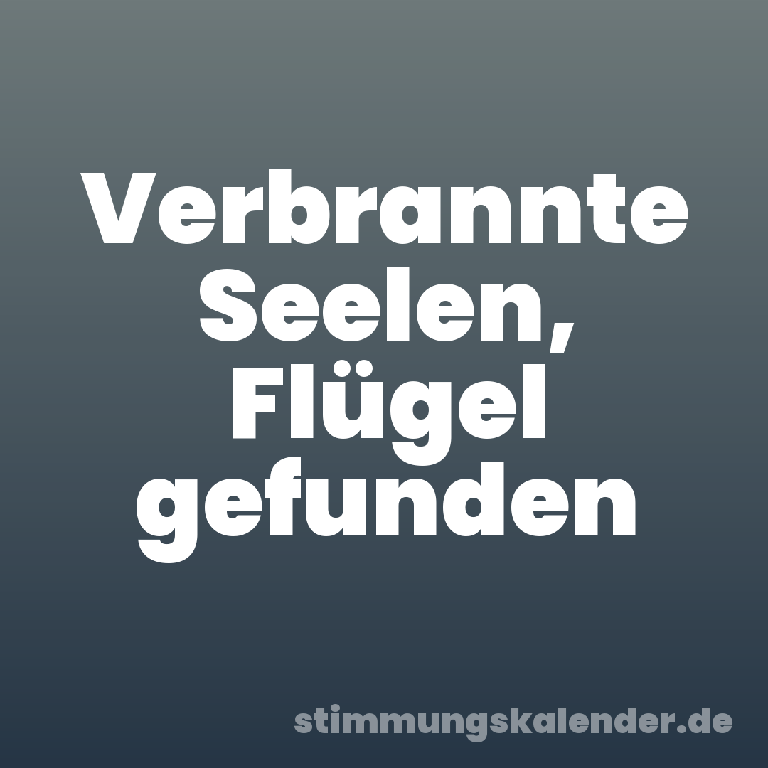 Verbrannte Seelen, Flügel gefunden