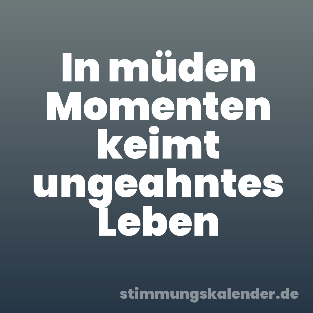 In müden Momenten keimt ungeahntes Leben