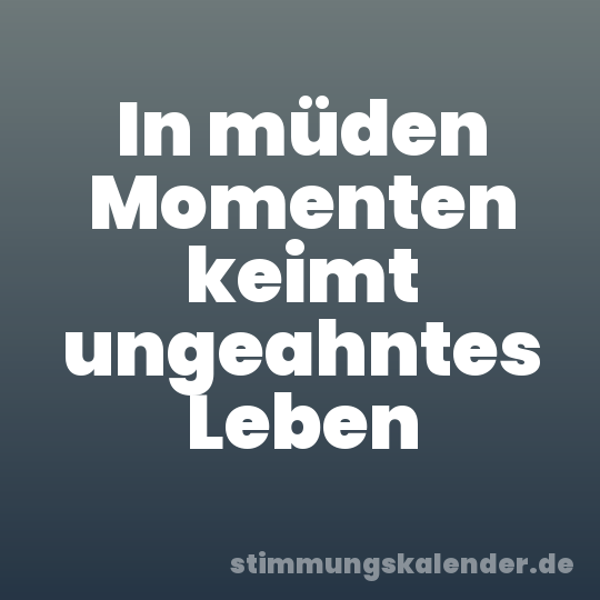In müden Momenten keimt ungeahntes Leben