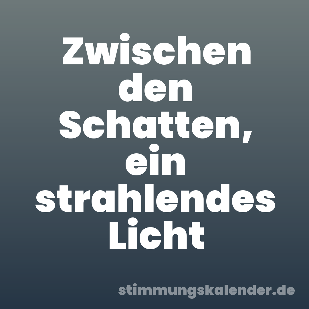 Zwischen den Schatten, ein strahlendes Licht