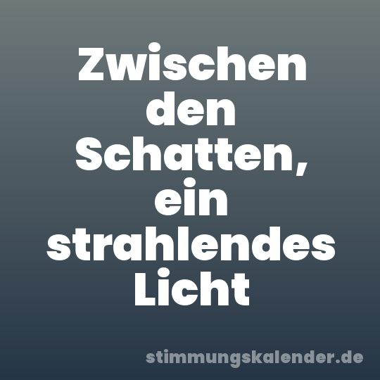 Zwischen den Schatten, ein strahlendes Licht