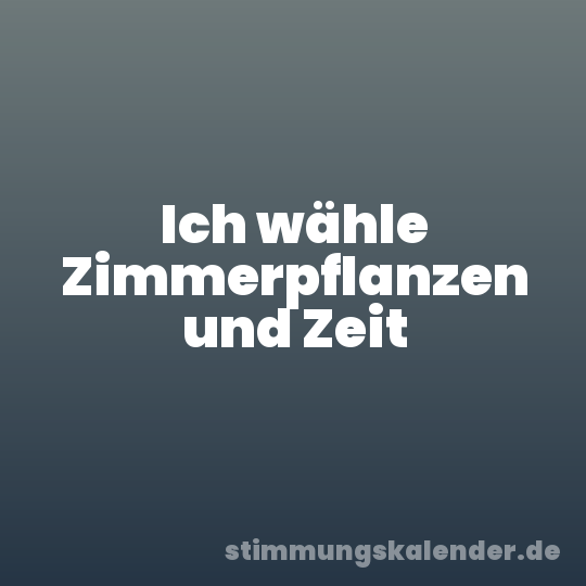 Ich wähle Zimmerpflanzen und Zeit
