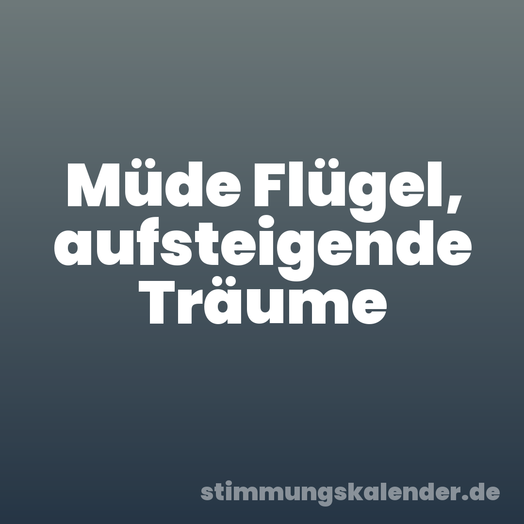 Müde Flügel, aufsteigende Träume