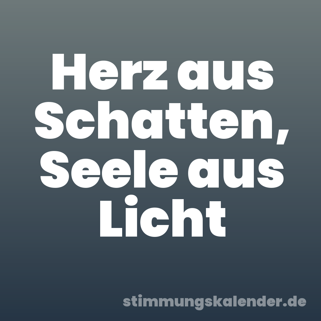 Herz aus Schatten, Seele aus Licht
