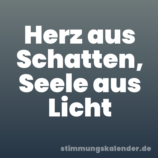 Herz aus Schatten, Seele aus Licht