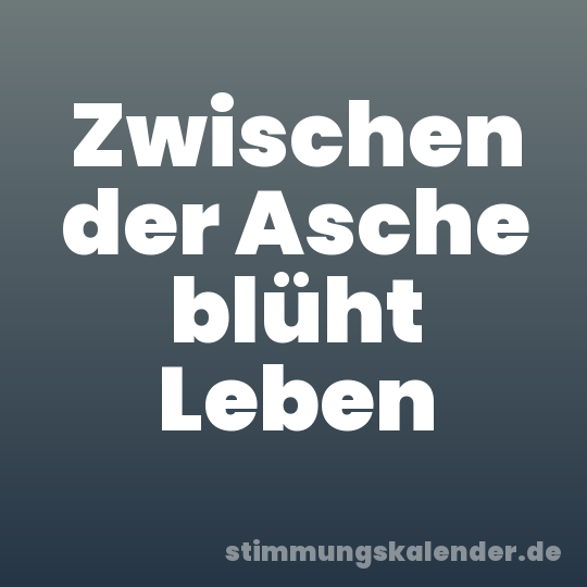 Zwischen der Asche blüht Leben