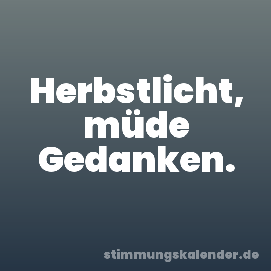 Herbstlicht, müde Gedanken.