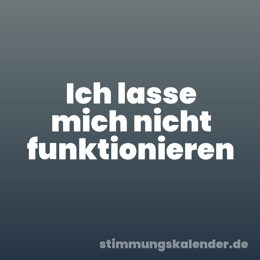Ich lasse mich nicht funktionieren