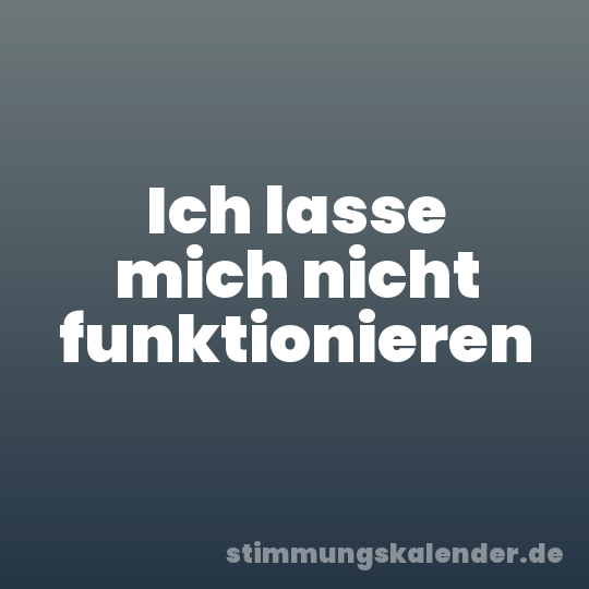 Ich lasse mich nicht funktionieren