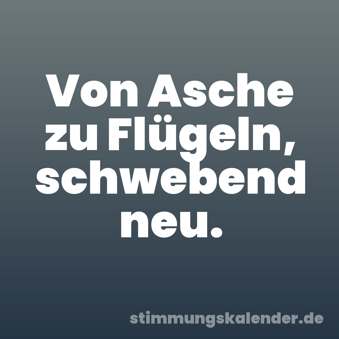 Von Asche zu Flügeln, schwebend neu.