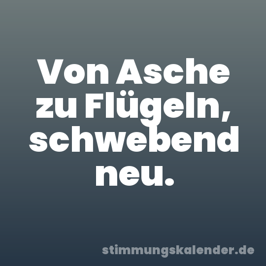 Von Asche zu Flügeln, schwebend neu.