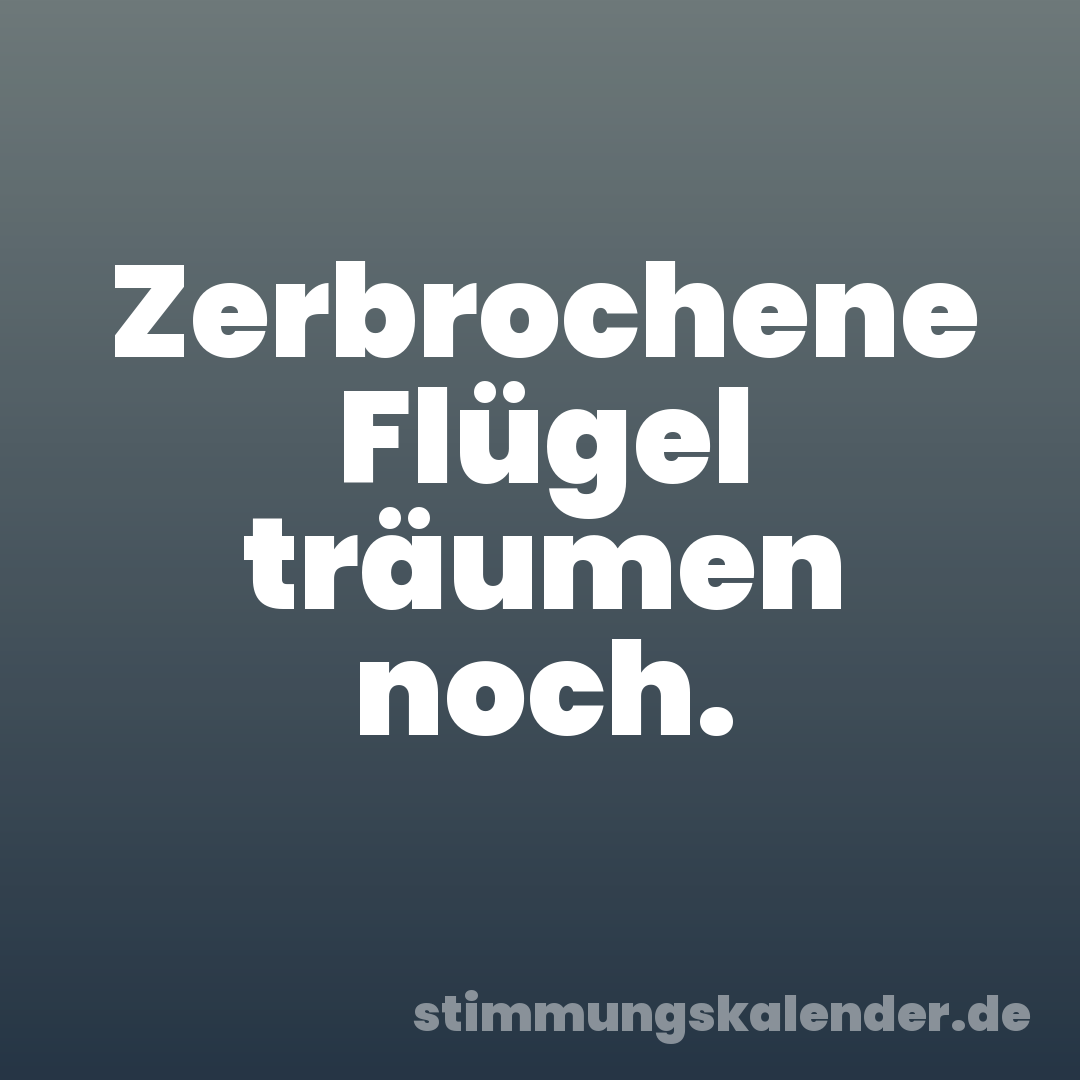 Zerbrochene Flügel träumen noch.
