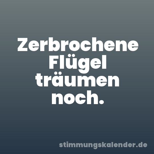 Zerbrochene Flügel träumen noch.
