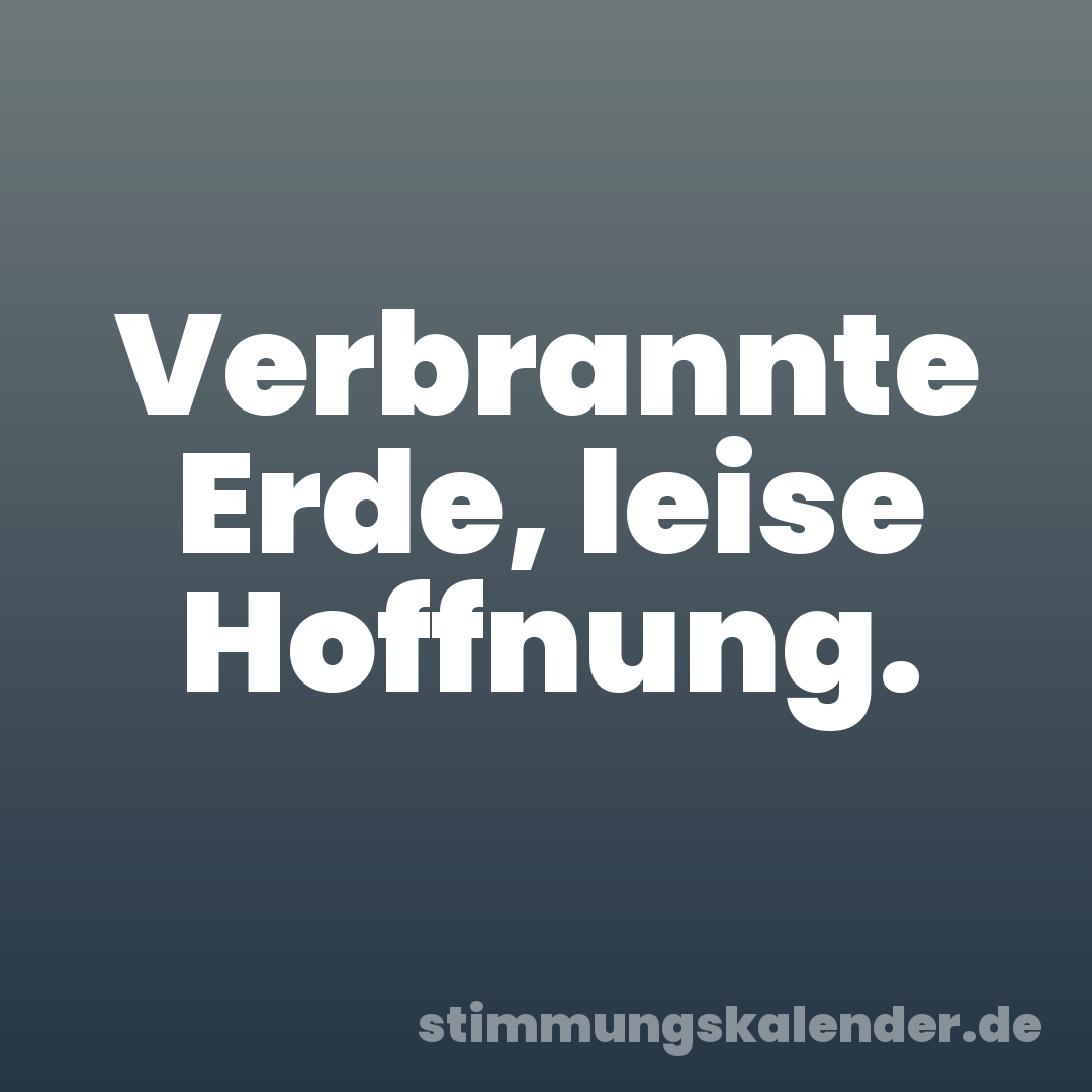 Verbrannte Erde, leise Hoffnung.
