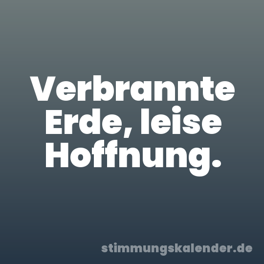 Verbrannte Erde, leise Hoffnung.