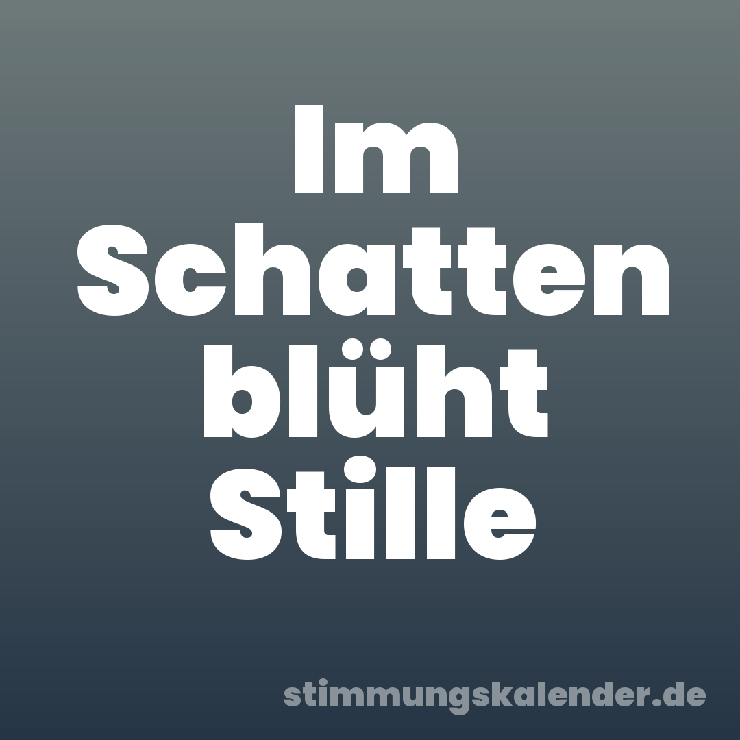 Im Schatten blüht Stille