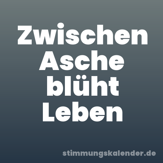 Zwischen Asche blüht Leben