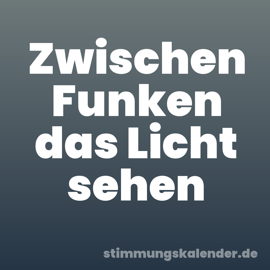 Zwischen Funken das Licht sehen