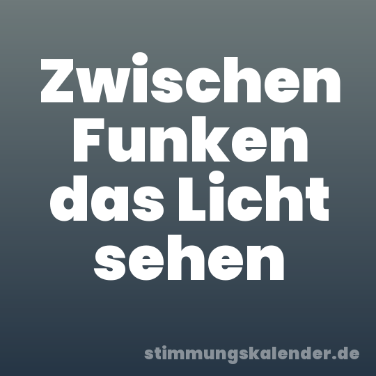 Zwischen Funken das Licht sehen