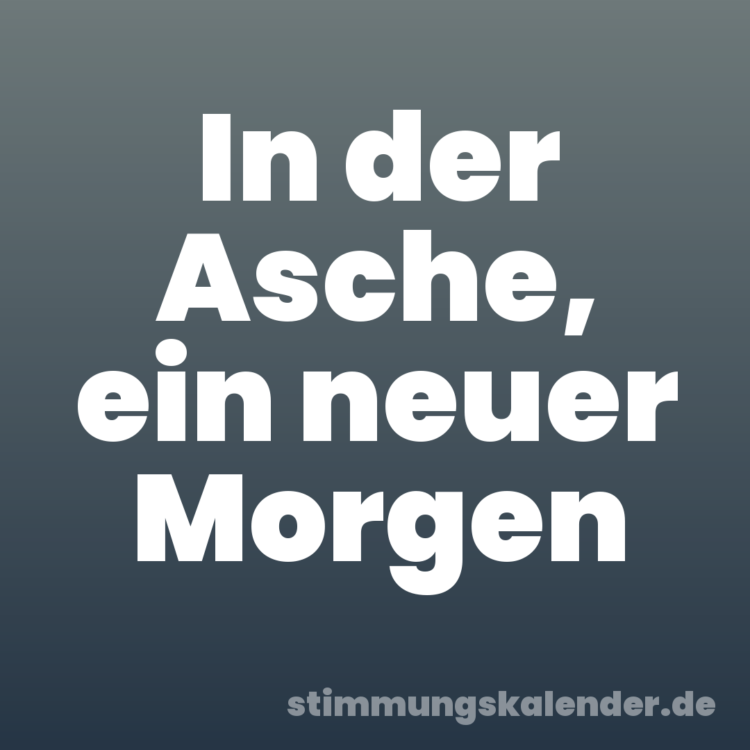 In der Asche, ein neuer Morgen