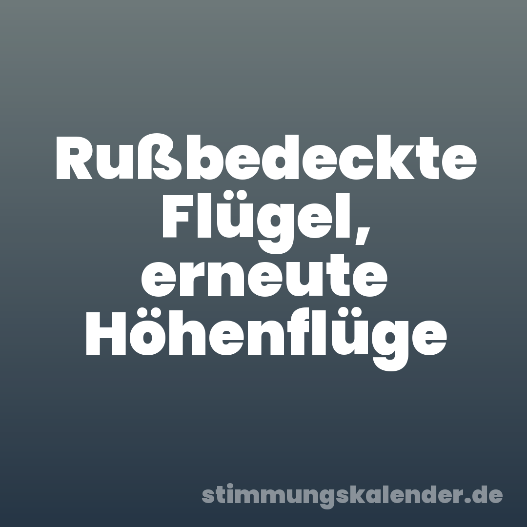 Rußbedeckte Flügel, erneute Höhenflüge